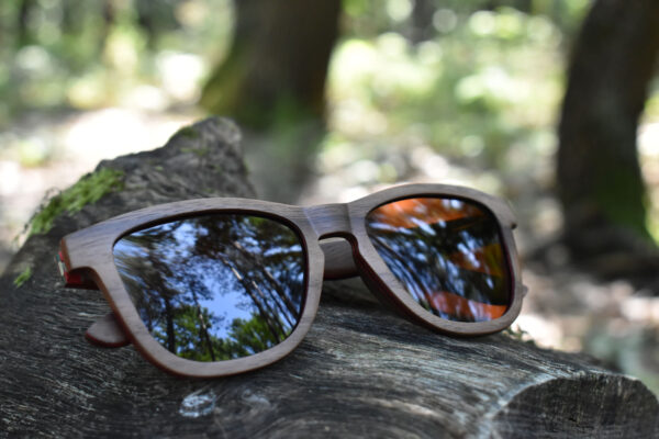 sunglasses-5660-1-2-02