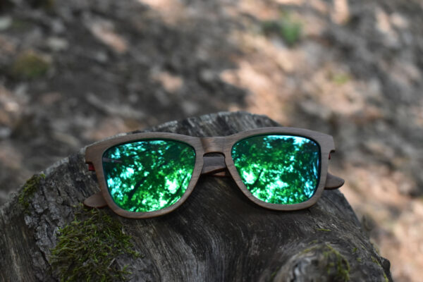 sunglasses-5660-1-3-01