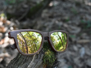 sunglasses-5660-1-9-01