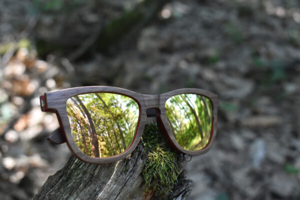 sunglasses-5660-1-9-01