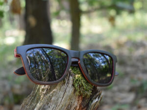 sunglasses-5660-3-1-01