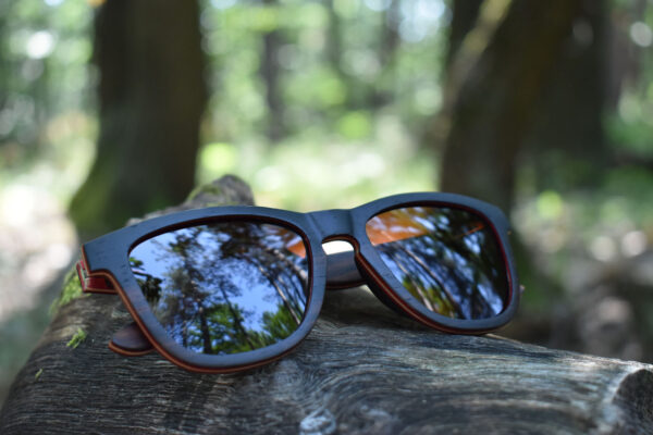 sunglasses-5660-3-2-01