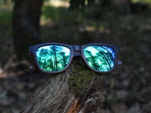 sunglasses-5660-3-3-01
